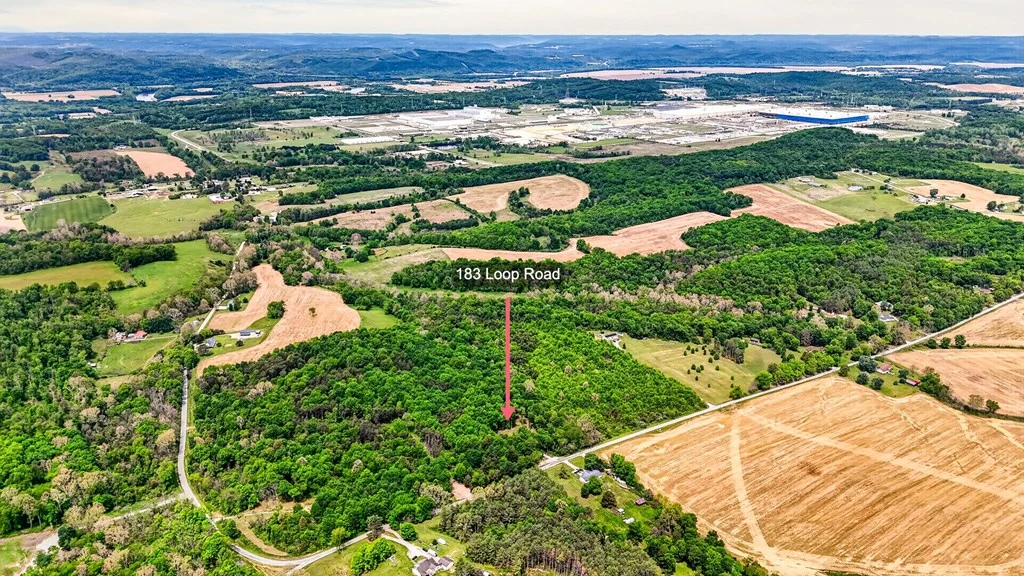 Property Image 4
