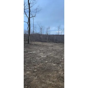 Gallia Blackfork Road Oak Hill OH 45656 Land