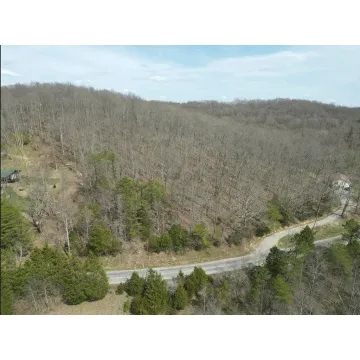 Henley Deemer Road Otway OH 45657 Land