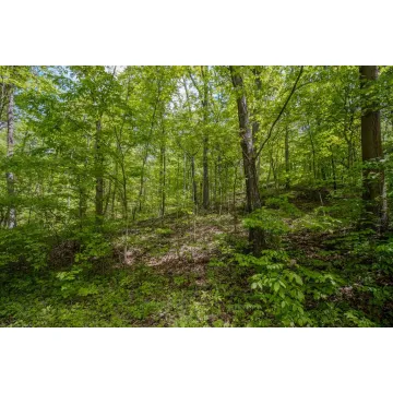 Kinzer Road Bainbridge OH 45612 Land