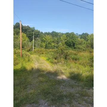 1337 St Rt 140 Oak Hill OH 45656 Land