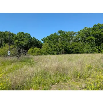1646 Pennington Road Waverly OH 45690 Land
