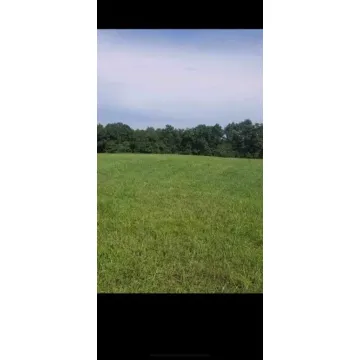 1650 Simmons Road Frankfort OH 45628 Land