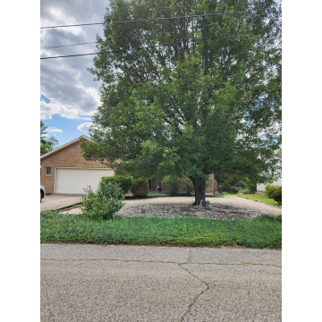 183 Scothorn Chillicothe OH 45601 Residential