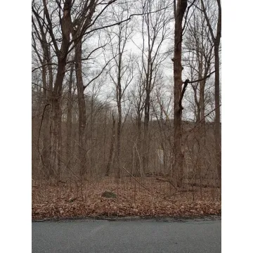 Virginia Lane Waverly OH 45690 Land