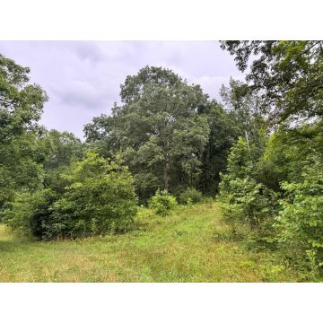 512 Pleasant Hill Road Waverly OH 45690 Land