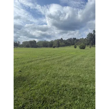 311 Buchanan Road Waverly OH 45690 Land