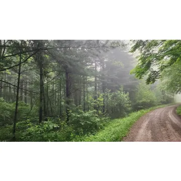 Walnut Grove Road McArthur OH 45651 Land