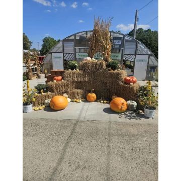 139 Huron Jackson OH 45640 Business & Property