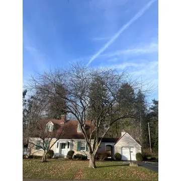 354 Fairway Ave. Chillicothe OH 45601 Residential