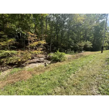 Goose Creek Road South Bloomingville OH 43138 Land