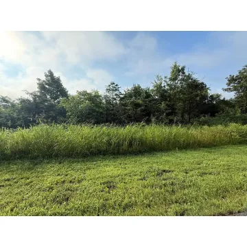 2093 Cox Road Crown City OH 45623 Land