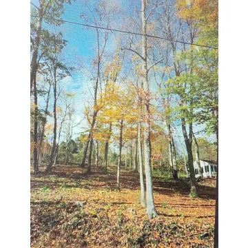 303 Wells Jones Road Waverly OH 45690 Land