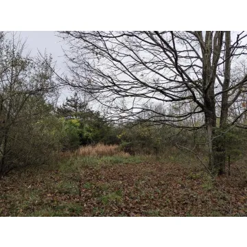 314 Murphy Road Frankfort OH 45628 Land