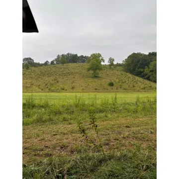 31435 Stevens Branch Rd Londonderry OH 45647 Land