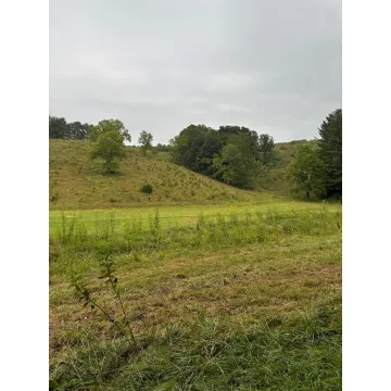 31435 Stevens Branch Rd Londonderry OH 45647 Land