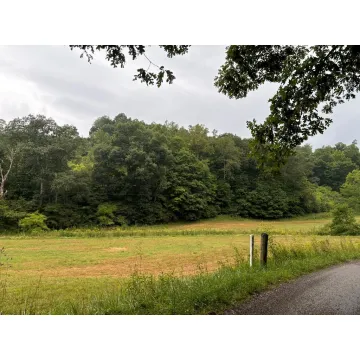 31435 Stevens Branch Rd Londonderry OH 45647 Land