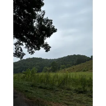 31435 Stevens Branch Rd Londonderry OH 45647 Land