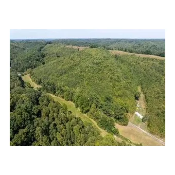 31557 French Road Londonderry OH 45647 Land
