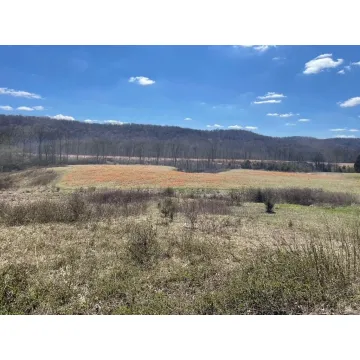 3538 Owl Creek Road Frankfort OH 45628 Land