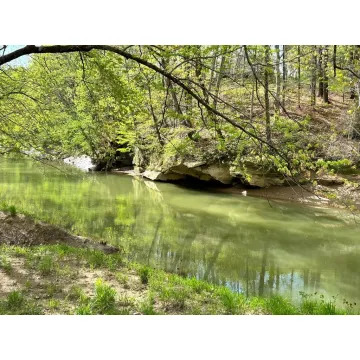 37476 Vales Mill Rd. Wilkesville OH 45695 Land