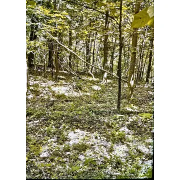 53471 St. Rt. 671 Londonderry OH 45647 Land