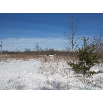 535 Al Leeth Road Waverly OH 45690 Land