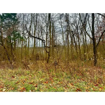 560 Landrum Road Bainbridge OH 45612 Land