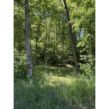 560 Sunfish Creek Road Waverly OH 45690 Land