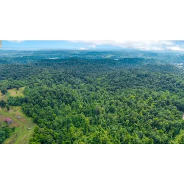 Brumfield Road Crown City OH 45623 Land