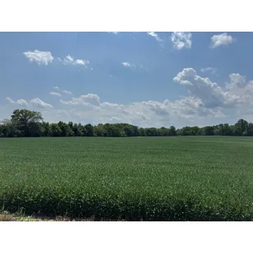 Clarksburg Pike New Holland OH 43145 Land