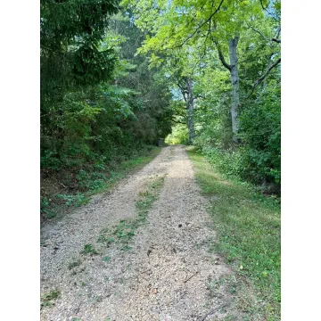 Cove Run Road Bainbridge OH 45612 Land