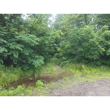 Green Ridge Road Peebles OH 45660 Land