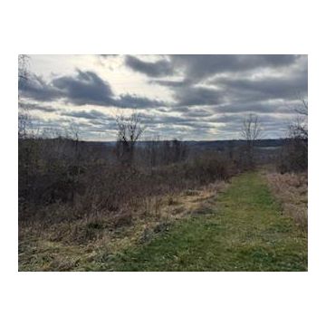 15750 Bryson Rd Millfield OH 45761 Land