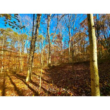 Denver Road Waverly OH 45690 Land