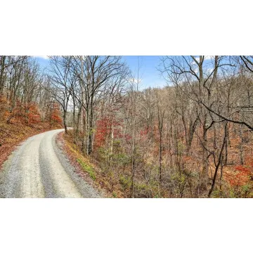 Jones Road Vinton OH 45686 Land