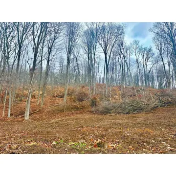 Lower Twin Road South Salem OH 45681 Land