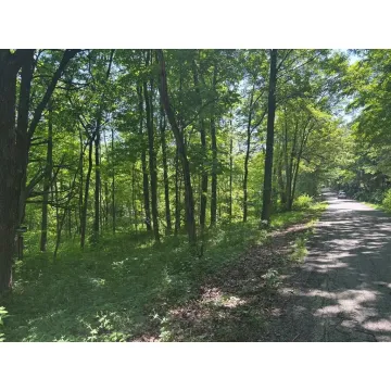 Nace Corner Rd Latham OH 45646 Land