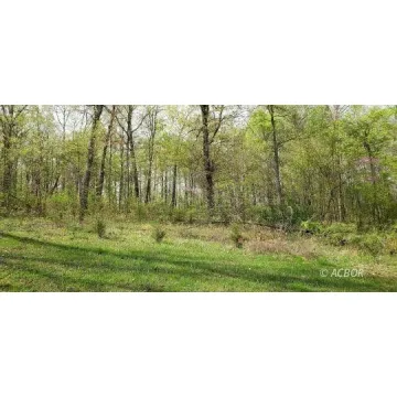 Oak Ridge Road Gallipolis OH 45631 Land