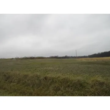 Pennyroyal Clarksburg OH 43115 Land