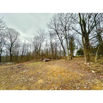 Potts Hill Road Bainbridge OH 45612 Land