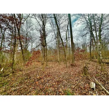 Prussia Road Waverly OH 45690 Land