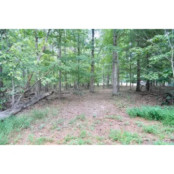 Prussia Road Waverly OH 45690 Land