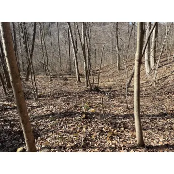 SE Hickson Run Road Chillicothe OH 45601 Land