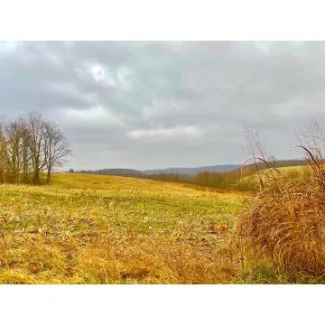 St. Rt. 772 Piketon OH 45661 Land