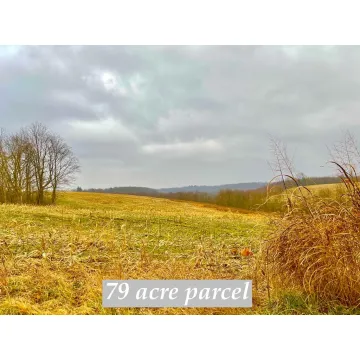 St. Rt. 772 Piketon OH 45661 Land