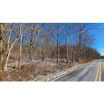 Walnut Creek Road Kingston OH 45644 Land